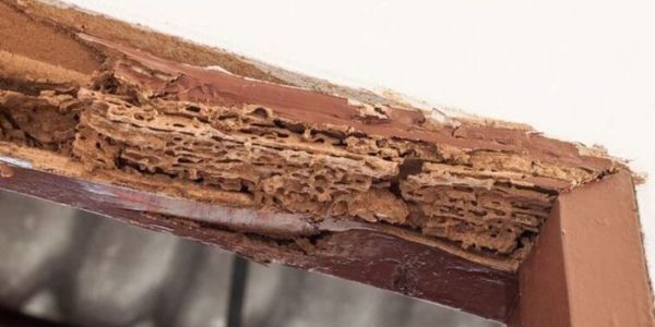 5 Tanda Kusen Kayu Harus Diganti dengan Kusen Aluminium Segera